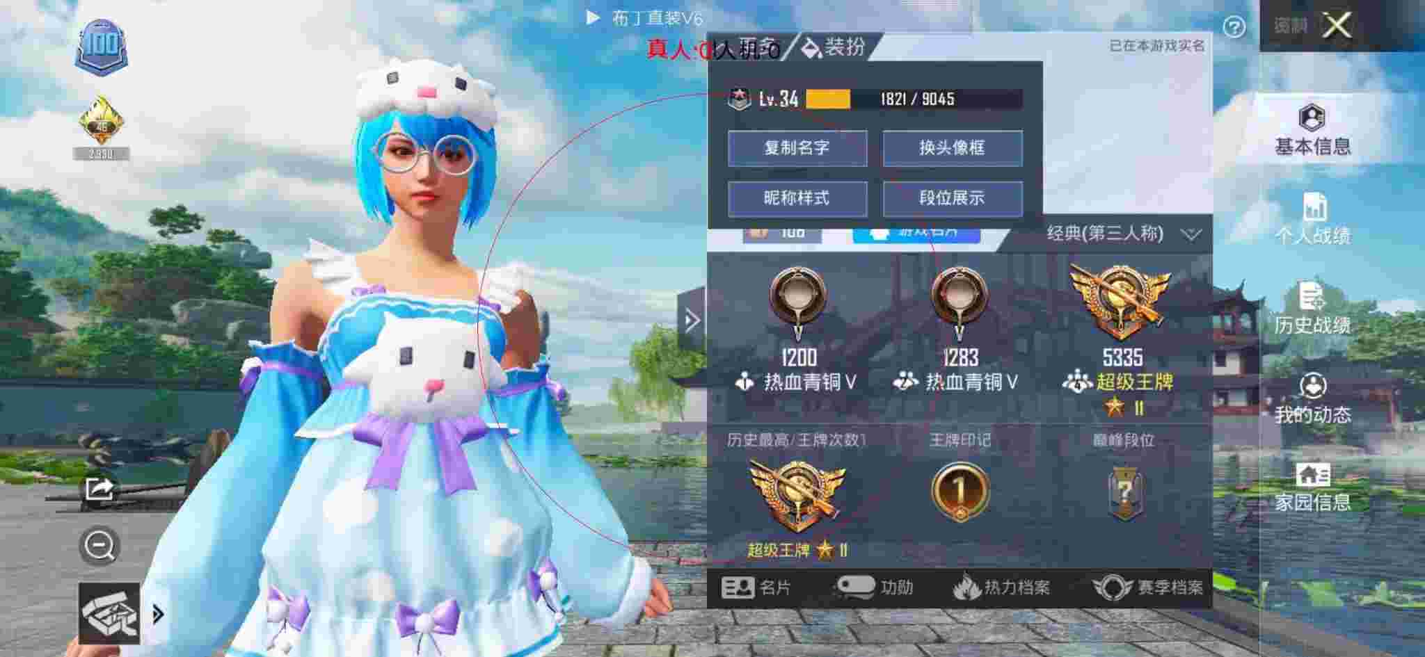 和平精英布丁直装透视 - 和平精英衣服皮肤图片辅助预览图